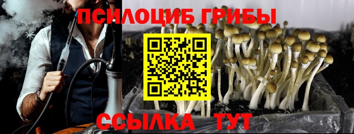 Меф мяу мяу Нижневартовск